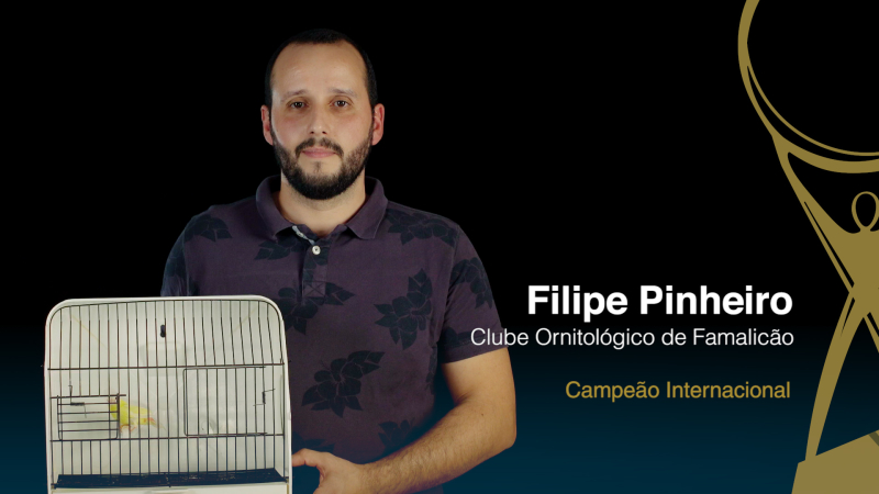 Filipe Pinheiro